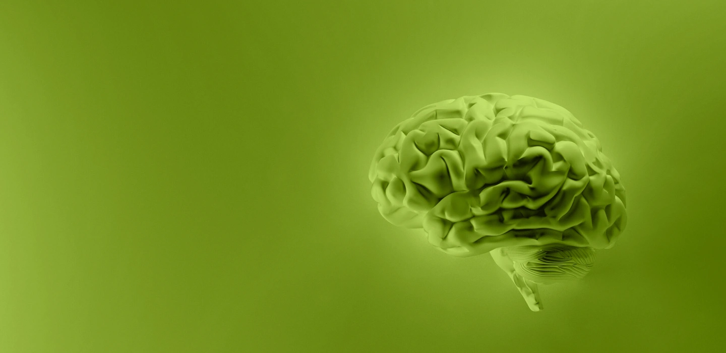 woko the behavioral lab webinar